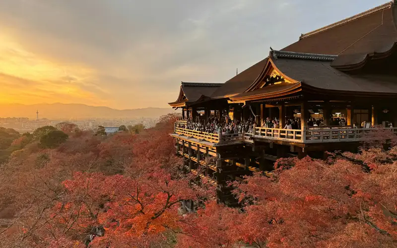 A wooden temple above autumn maples