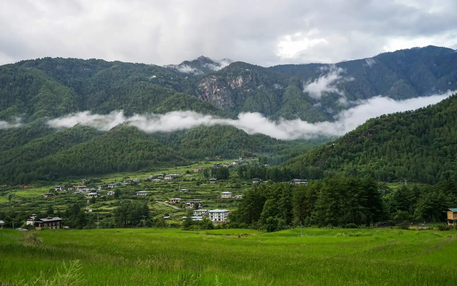 A green valley in morning mist