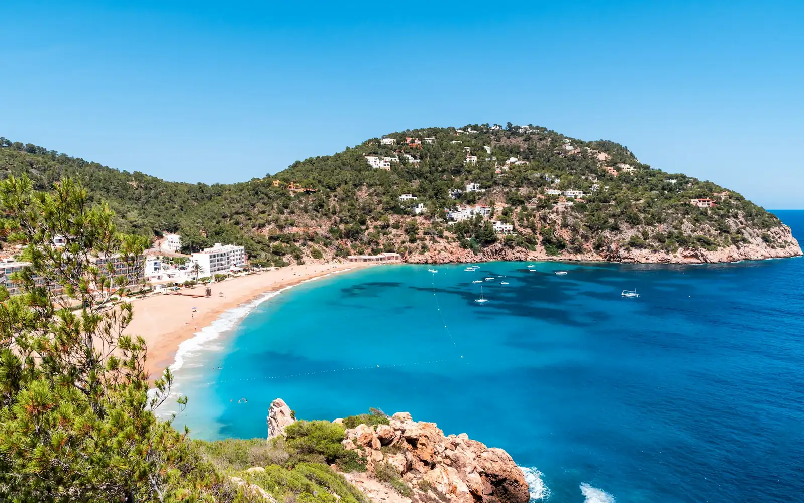 A turquoise bay framed by pine hills