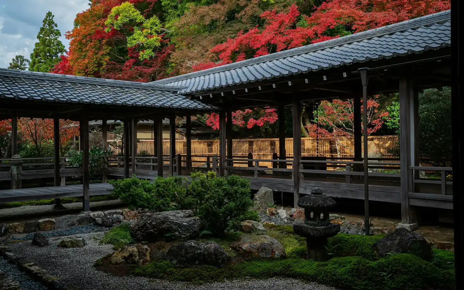 A garden walkway in autumn colours