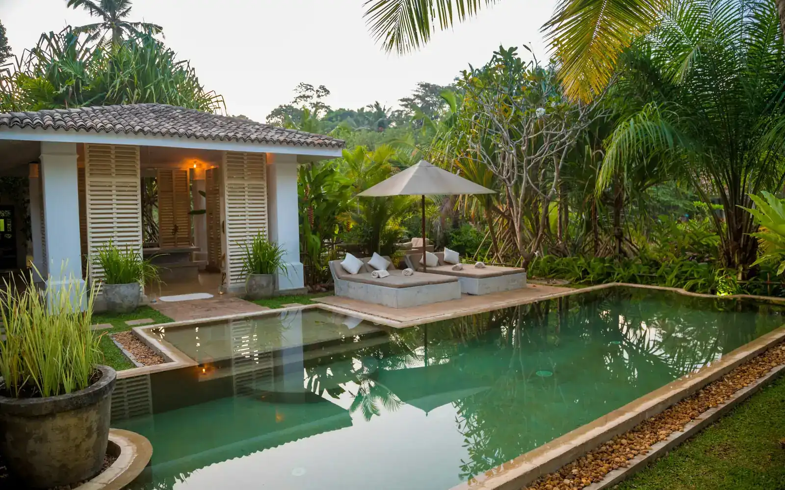 A private villa pool among palms