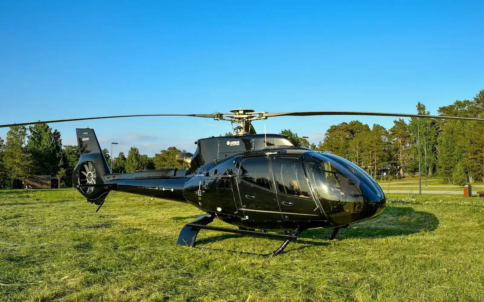 A black helicopter waiting on a green field