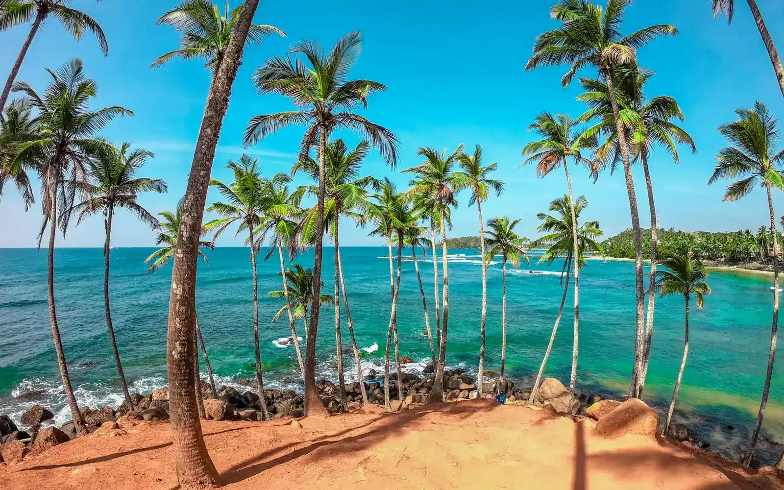 Palm trees leaning over a turquoise bay